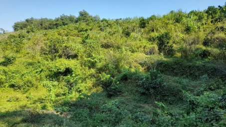 Gỡ nút thắt chi trả dịch vụ môi trường rừng ở Điện Biên