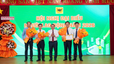 Phân bón Bình Điền vượt mốc doanh thu 10.000 tỷ đồng