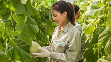 Đẩy mạnh chuyển đổi sản xuất nông nghiệp hàng hóa, phát triển nông nghiệp sinh thái, hiệu quả, bền vững