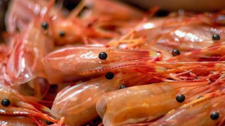 Nghiên cứu khả năng tổng hợp vật liệu sinh học chitin từ đầu tôm, vỏ tôm