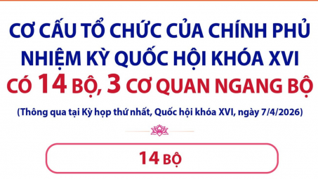 [Infographic] Chính phủ nhiệm kỳ Quốc hội khóa XVI có 14 Bộ, 3 cơ quan ngang Bộ