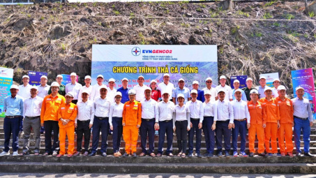 Thả cá, tái tạo nguồn lợi thủy sản tại hồ Thuỷ điện Sông Bung 4