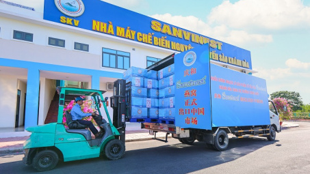 Yến sào Khánh Hòa đẩy mạnh xuất khẩu, khẳng định vị thế tại thị trường tỷ dân