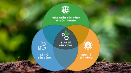 Phát triển thương mại bền vững trong bối cảnh kinh tế xanh và tiêu dùng có trách nhiệm
