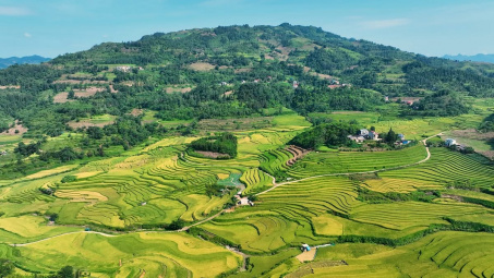Quy chế hoạt động của BCĐ Trung ương Chương trình MTQG xây dựng nông thôn mới, giảm nghèo bền vững và phát triển KTXH vùng DTTS&MN