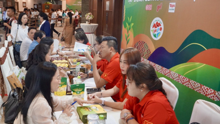 40 doanh nghiệp, hợp tác xã tỉnh Gia Lai kết nối tiêu thụ hàng hóa với Hệ thống siêu thị GO!