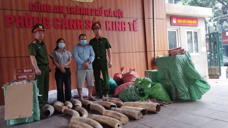 Hà Nội: Phá đường dây buôn lậu ngà voi, lộ kho thuốc lá lậu khủng