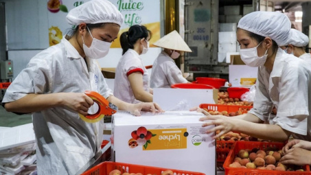 Bộ Công Thương: Đồng bộ các giải pháp hỗ trợ tiêu thụ và xuất khẩu quả vải trong niên vụ 2026