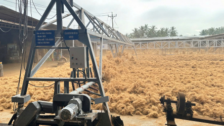 Khuyến công quốc gia: Đề án điểm cú hích cho chuỗi giá trị dừa Vĩnh Long