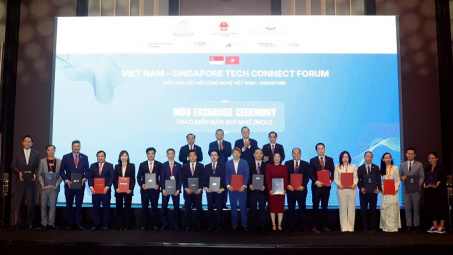 Vinachem thiết lập hợp tác chiến lược với DSM-Firmenich