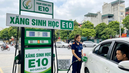 Triển khai xăng E10 trên toàn quốc: Các hãng xe được đề nghị đồng hành