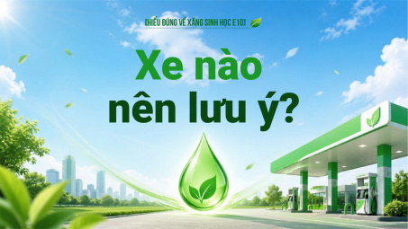 [Hiểu đúng về xăng E10] Xe nào nên lưu ý?