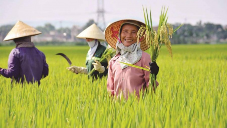 Giai cấp nông dân lực lượng quan trọng trong sự nghiệp cách mạng Việt Nam