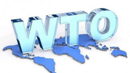Trợ cấp xanh trong WTO và khuyến nghị cho Việt Nam