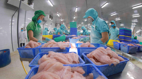 Nâng cao năng lực phòng vệ thương mại cho nông sản Việt Nam trong bối cảnh bảo hộ gia tăng