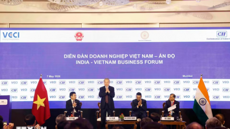 Tổng Bí thư, Chủ tịch nước Tô Lâm dự Diễn đàn doanh nghiệp Việt Nam - Ấn Độ