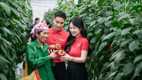 Các yếu tố ảnh hưởng đến khả năng tiếp cận tín dụng của các hộ sản xuất nông lâm nghiệp tại Ngân hàng Agribank Chi nhánh Đồng Hỷ, tỉnh Thái Nguyên (giai đoạn 2022 - 2024)