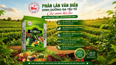 Đầu tư phân bón đúng cách, gia tăng giá trị mùa vụ