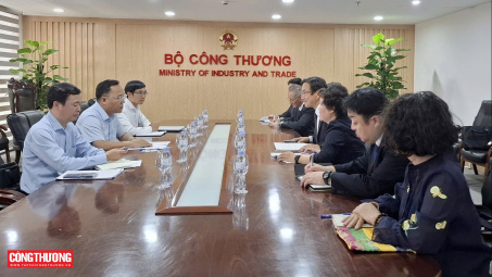 Thứ trưởng Nguyễn Hoàng Long làm việc với lãnh đạo Tập đoàn Idemitsu (Nhật Bản)