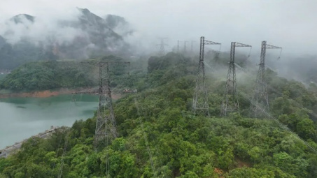 PTC1 hoàn thành “chiến dịch” thay thế cách điện tuyến 500kV Sơn La - Hòa Bình