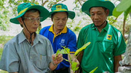 Mang giải pháp dinh dưỡng khoa học cho điều Campuchia: Hành trình kiến tạo những mùa vàng thịnh vượng