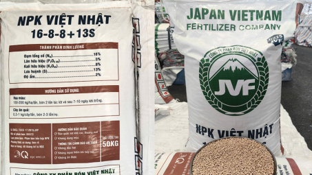 Phân bón Việt Nhật ra mắt dòng NPK 16-8-8+13S: Lời giải cho bài toán dinh dưỡng hợp lý và tối ưu chi phí