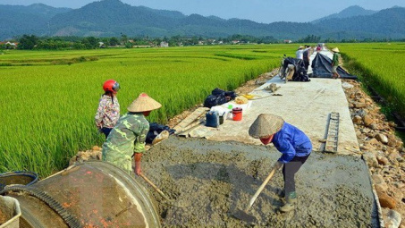 Dấu ấn nhiệm kỳ VIII: Nông dân phát huy vai trò chủ thể trong xây dựng nông thôn mới