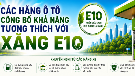 Hàng loạt hãng ô tô khẳng định các dòng xe tại Việt Nam tương thích với xăng sinh học E10