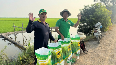 Đất khỏe hôm nay, mùa vàng ngày mai