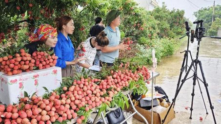Từ đồng vốn đến công nghệ số: Hệ sinh thái hỗ trợ nông dân ngày càng hoàn thiện