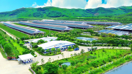 Sản xuất và tiêu dùng bền vững: Từ chính sách đến hành động
