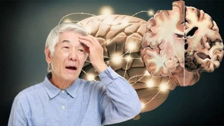 Nghiên cứu tiềm năng ức chế acetylcholinesterase của các dẫn xuất tranilast bằng phương pháp in vitro và in silico