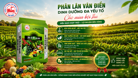 Đầu tư phân bón đúng cách, gia tăng giá trị mùa vụ