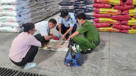 Hà Nội xử phạt 81 trường hợp vi phạm trong lĩnh vực nông nghiệp, môi trường sau 6 tháng cao điểm chống buôn lậu