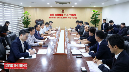 Thứ trưởng Nguyễn Hoàng Long làm việc với  các doanh nghiệp Nhật Bản về LNG