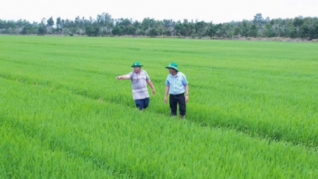 Làm giàu nhờ đổi mới tư duy trên vùng đất phèn