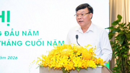 Casumina chủ động nguồn cung nguyên liệu