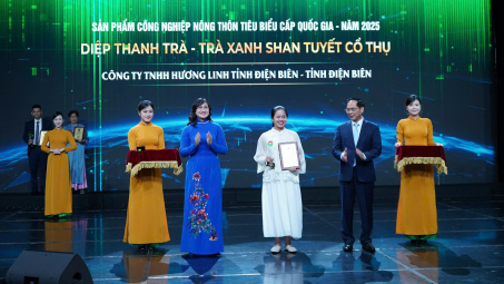 Từ vùng chè mai một đến sản phẩm RISEP cấp quốc gia đầu tiên của Điện Biên