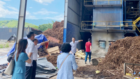 Đòn bẩy khuyến công quốc gia: Chắp cánh cho ngành chế biến lâm sản Thanh Hóa bứt phá