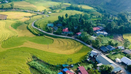 Quy chế tổ chức và hoạt động của Hội đồng quốc gia về phát triển bền vững