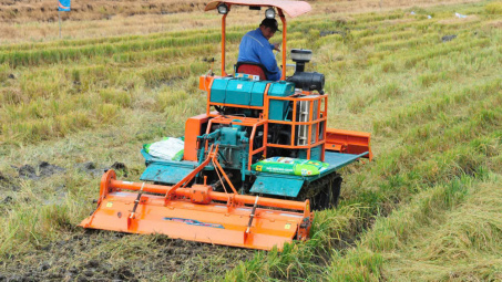Đầu Trâu Bio-Canxi: Trả dinh dưỡng lại cho đất lúa, hướng tới canh tác xanh