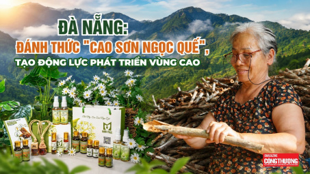 [Emagazine] Đà Nẵng: Đánh thức "cao sơn ngọc quế", tạo động lực phát triển vùng cao