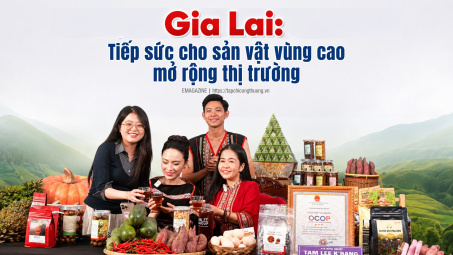 [eMagazine] Gia Lai: Tiếp sức cho sản vật vùng cao mở rộng thị trường