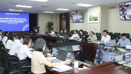 EVN tập huấn chuyên sâu về bảo vệ môi trường cho khối lưới điện