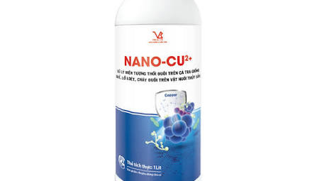 Đặc trưng hóa lý của nanocompozit CuI/Cu2+–TiO2