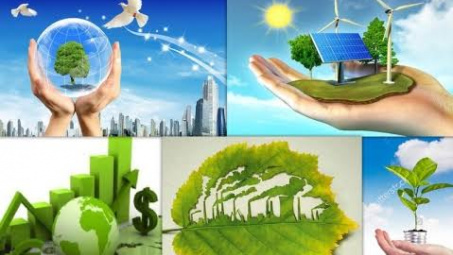 Chính sách thuế bảo vệ môi trường tại Việt Nam: thực trạng và định hướng hoàn thiện trong bối cảnh phát triển kinh tế xanh