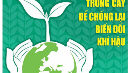 Kinh nghiệm quốc tế về chính sách thúc đẩy kế toán quản trị môi trường và bài học vận dụng cho Việt Nam