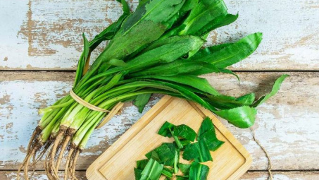 Xác định hàm lượng phenolic, flavonoid và saponin tổng số trong cây ngò gai (Eryngium foetidum L.)