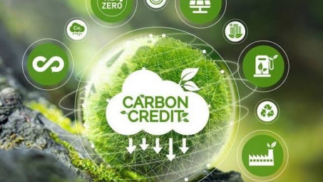 Tín dụng carbon và cơ hội kinh doanh mới cho ngân hàng thương mại
