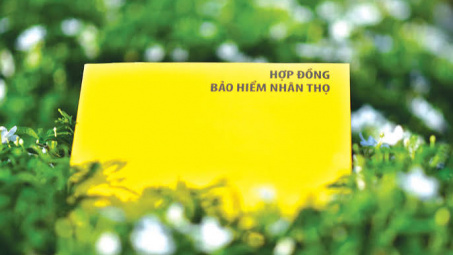 Giải pháp nâng cao hiệu quả sinh lời của các doanh nghiệp kinh doanh bảo hiểm nhân thọ tại Việt Nam trong bối cảnh mới